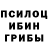 Псилоцибиновые грибы прущие грибы STANISLAVA KAZIMIRSKAYA