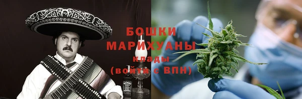 шишки Алзамай