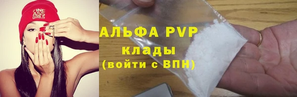 шишки Алзамай