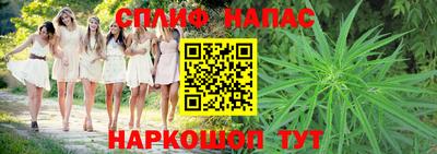гашик Волжск