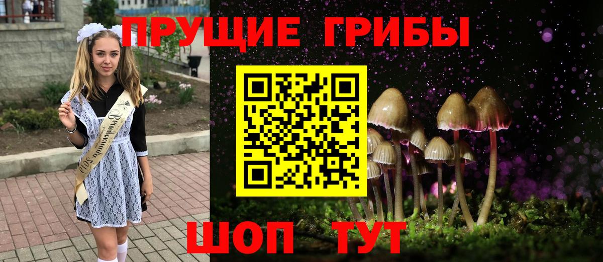 Галлюциногенные грибы прущие грибы Ярцево